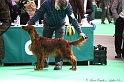 Crufts2011 501